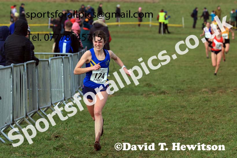 Senior Womens 2024 Northern Cross Country Champs., Sedgefield. Photo: David T. Hewitson/Sports for All Pics